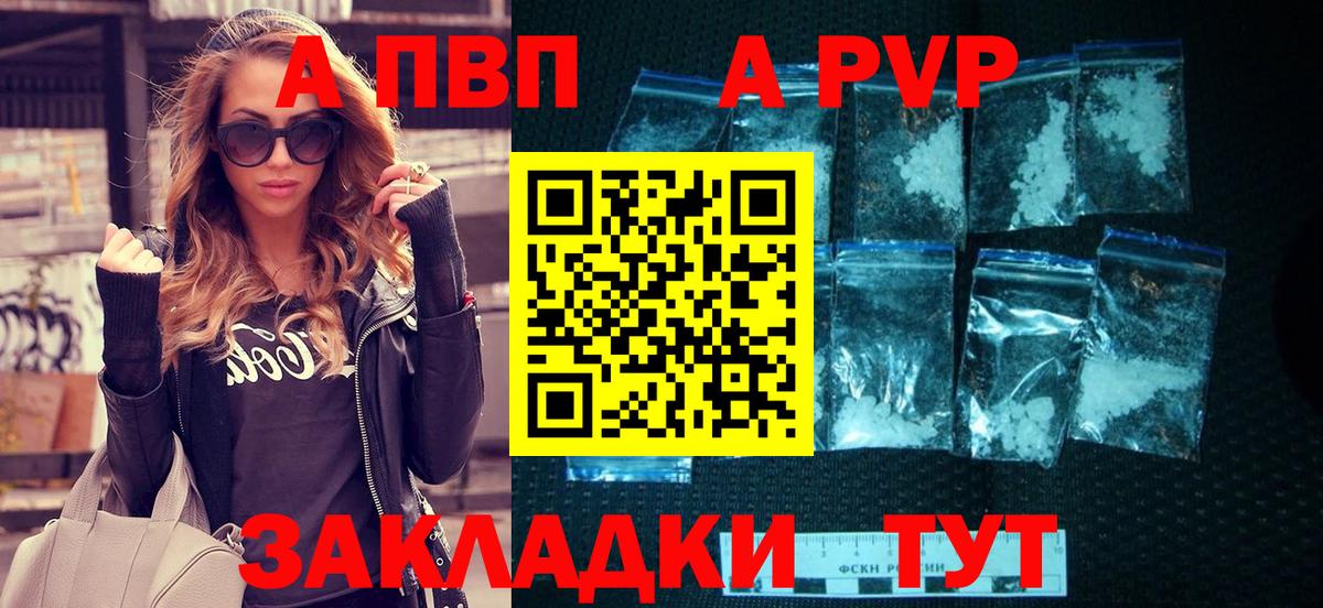 Alfa_PVP СК Курчалой
