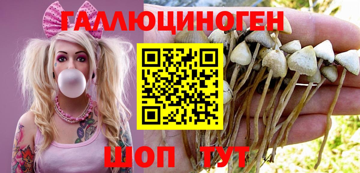 Галлюциногенные грибы Psilocybe  Вход с VPN  закладка  Курчалой  Псилоцибиновые грибы Psilocybine cubensis 